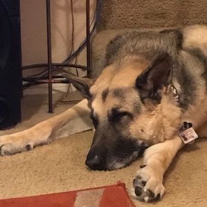 Meet your Posher, Michelle